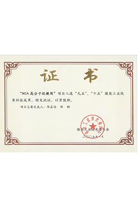 2005年1月MCA高分子促凝劑獲“九五、十五”科技成果獎